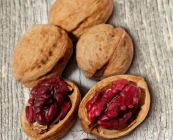 Juglans regia Rote Donaunuss (Nr.1239) - Walnuss-/Edelnuss Baum